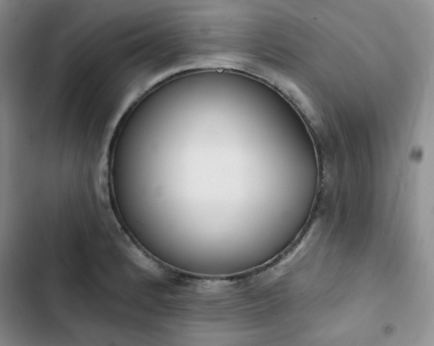 X0000102851184200808251155