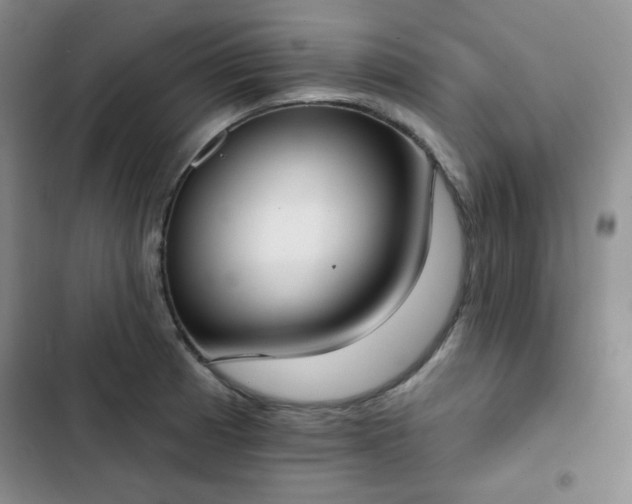 X0000102851185200808251155