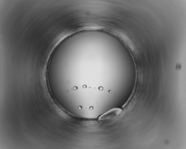 X0000102851186200808251155