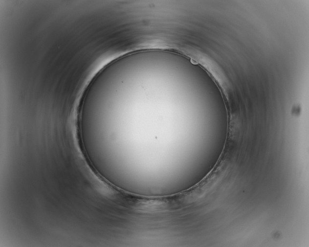 X0000102851187200808251155
