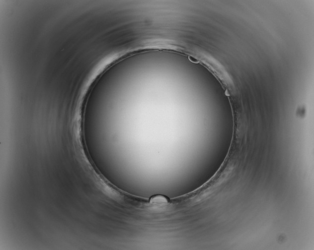 X0000102851188200808251155