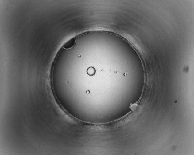 X0000102851189200808251155