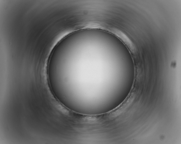 X0000102851190200808251155