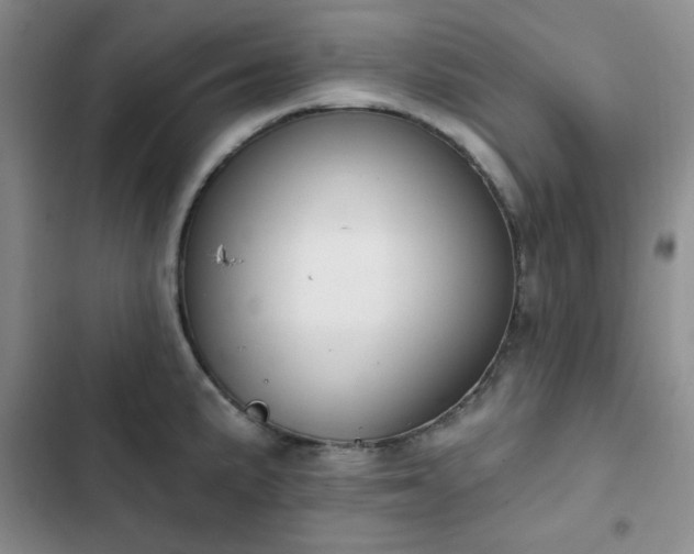 X0000102851191200808251155