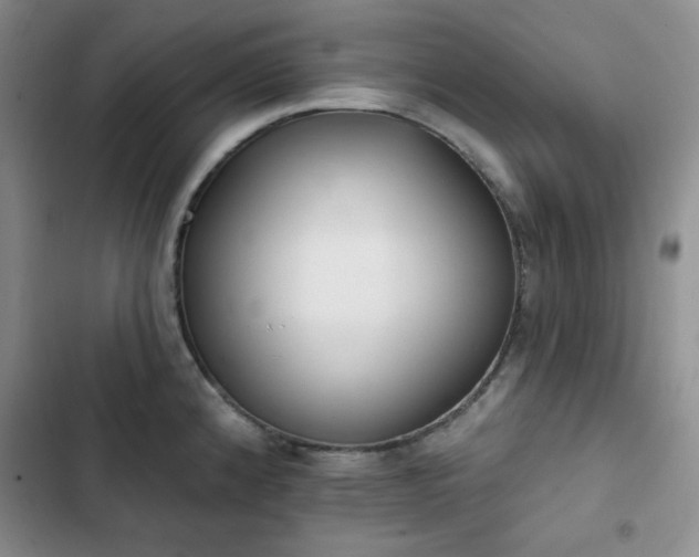 X0000102851192200808251155