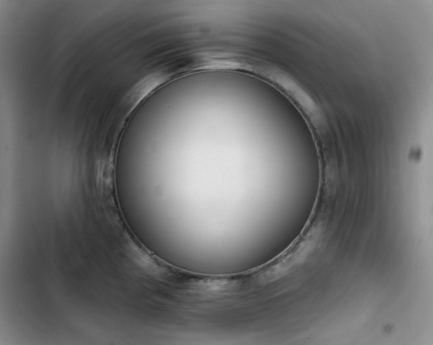 X0000102851193200808251155