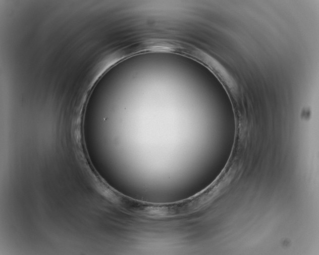 X0000102851194200808251155