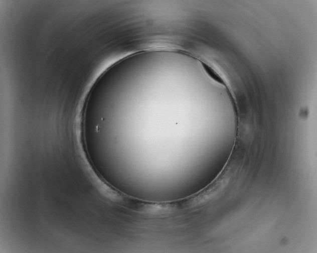 X0000102851195200808251155