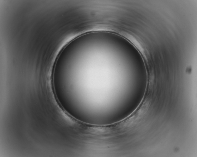 X0000102851197200808251155