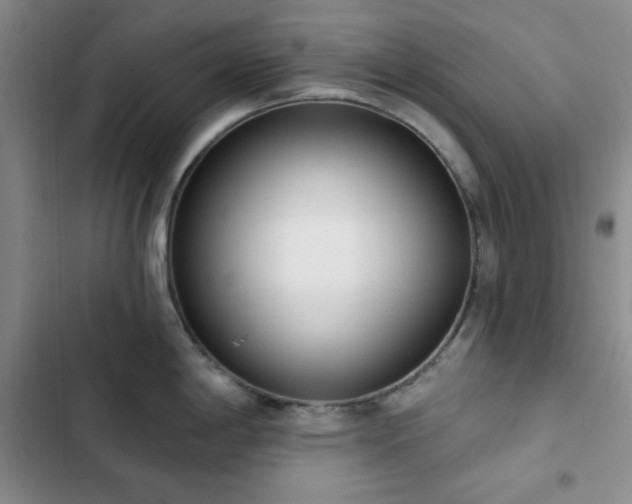 X0000102851198200808251155