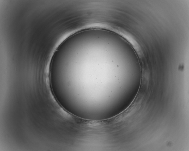 X0000102851199200808251155