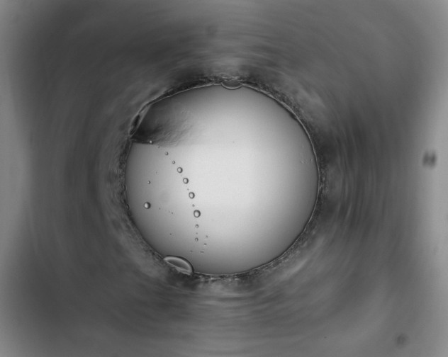 X0000102851201200808251154