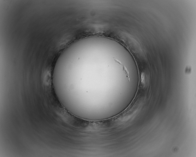 X0000102851203200808251154