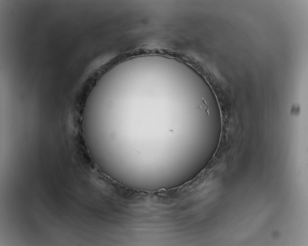 X0000102851207200808251154