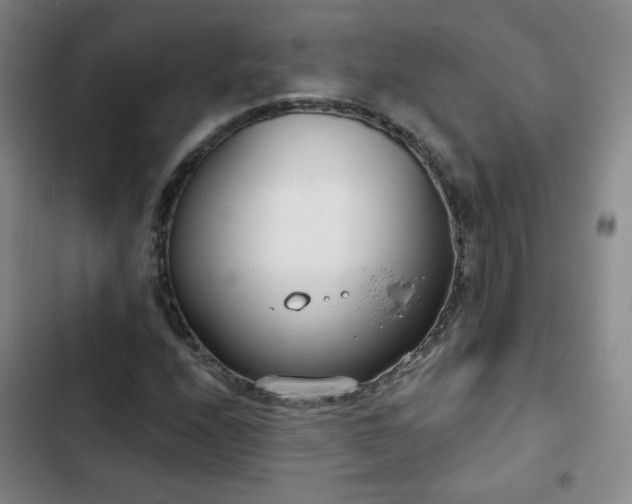 X0000102851208200808251154
