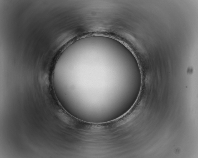X0000102851209200808251154