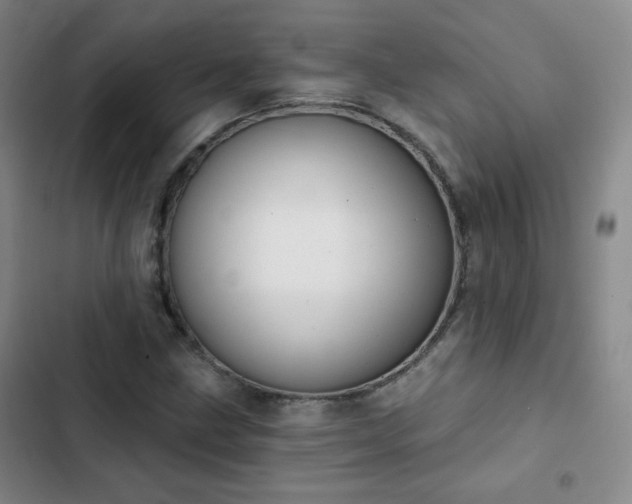 X0000102851211200808251154