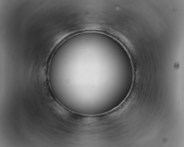 X0000102851212200808251154