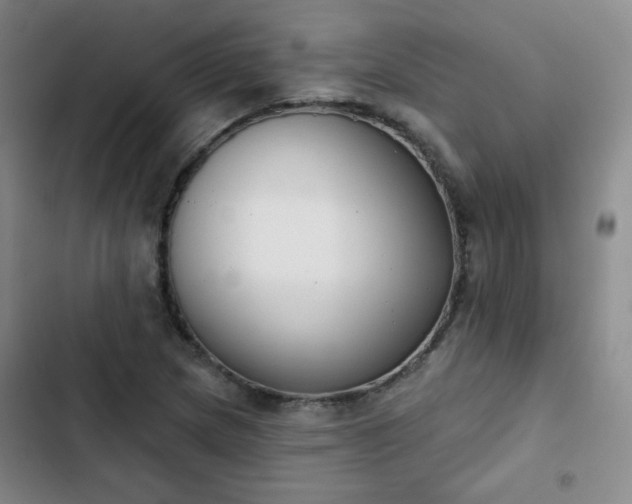 X0000102851217200808251154