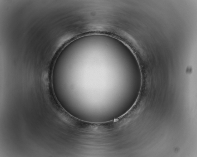 X0000102851218200808251154
