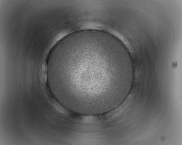 X0000102851219200808251154