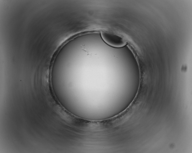 X0000102851220200808251154