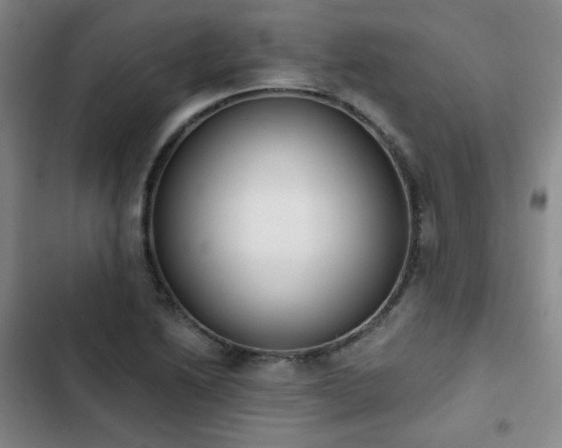 X0000102851222200808251154