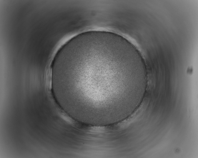 X0000102851223200808251154