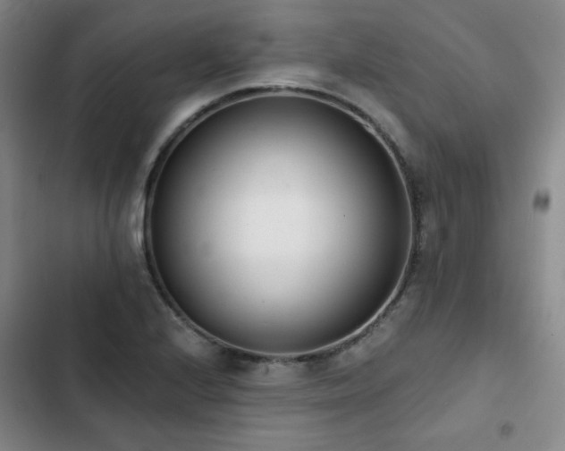 X0000102851224200808251154