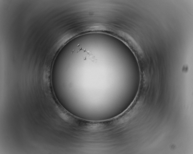 X0000102851225200808251154