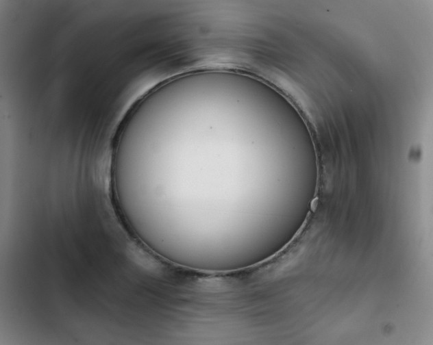 X0000102851227200808251154