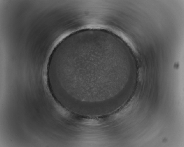 X0000102851229200808251154
