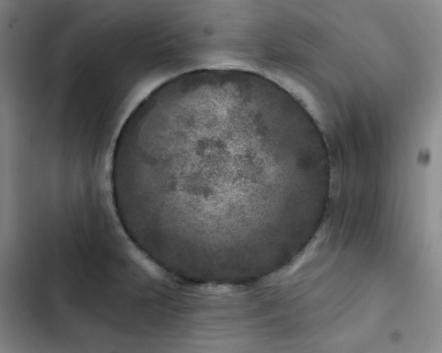 X0000102851231200808251154