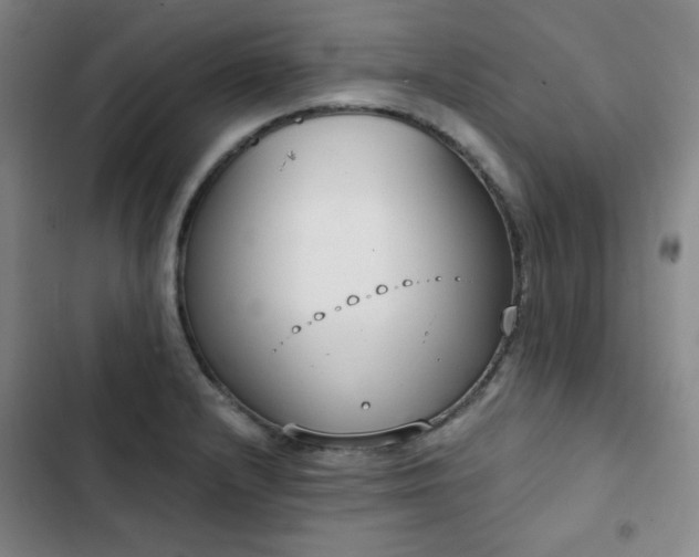 X0000102851232200808251154