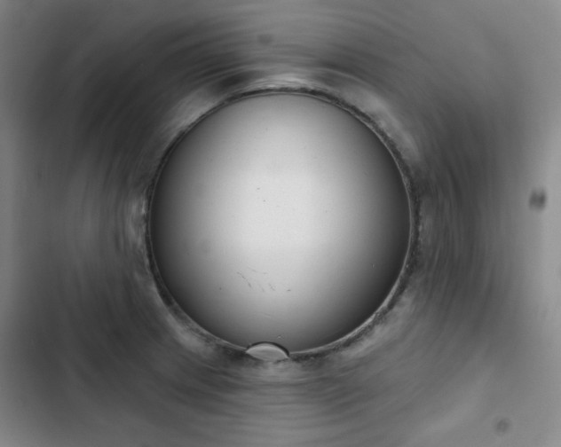 X0000102851233200808251154