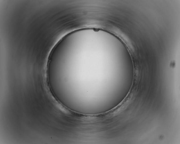 X0000102851236200808251154