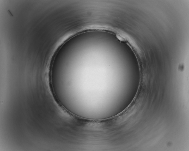 X0000102851237200808251155