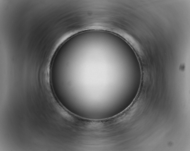 X0000102851238200808251155