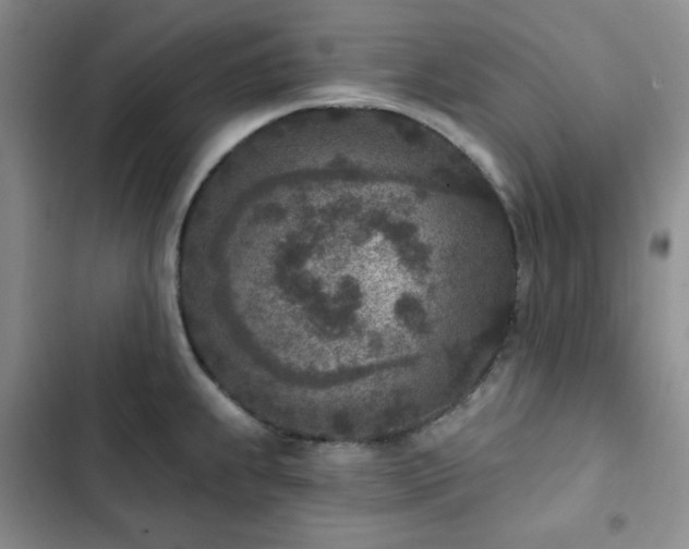 X0000102851239200808251155