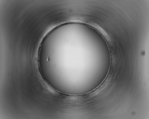 X0000102851240200808251155