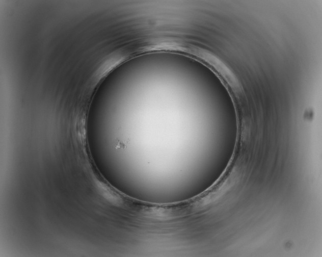X0000102851241200808251155
