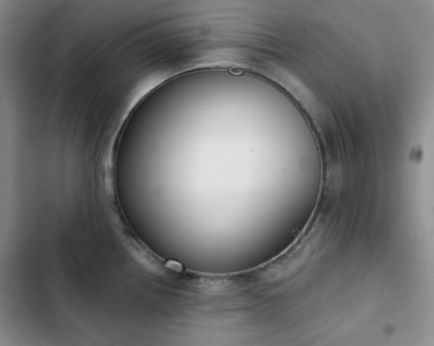 X0000102851242200808251155