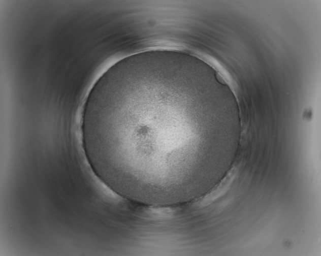 X0000102851243200808251155
