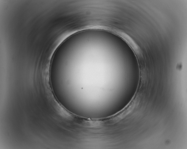 X0000102851244200808251155