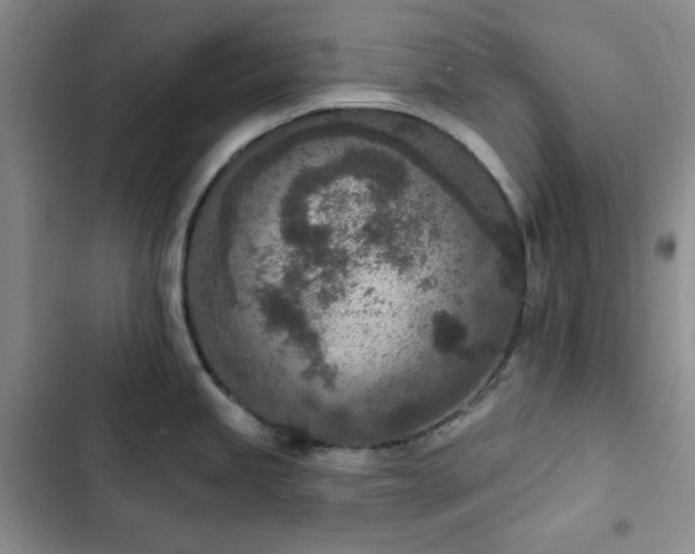 X0000102851245200808251155