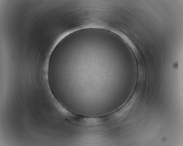 X0000102851246200808251155