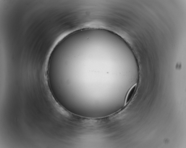 X0000102851248200808251155