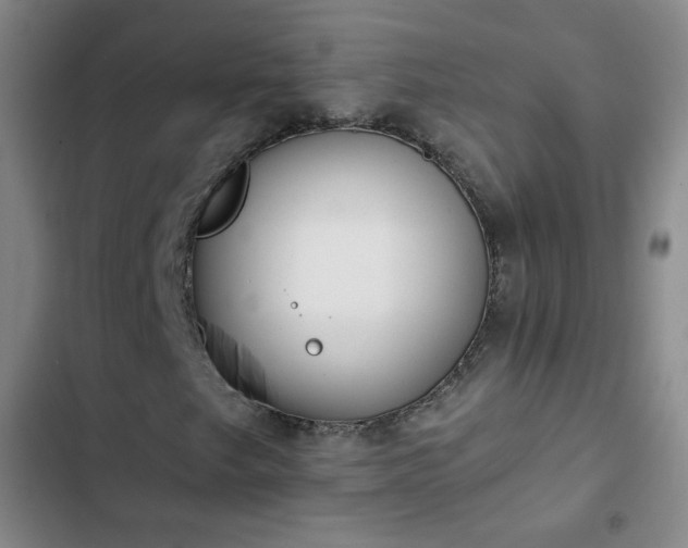 X0000102851249200808251154