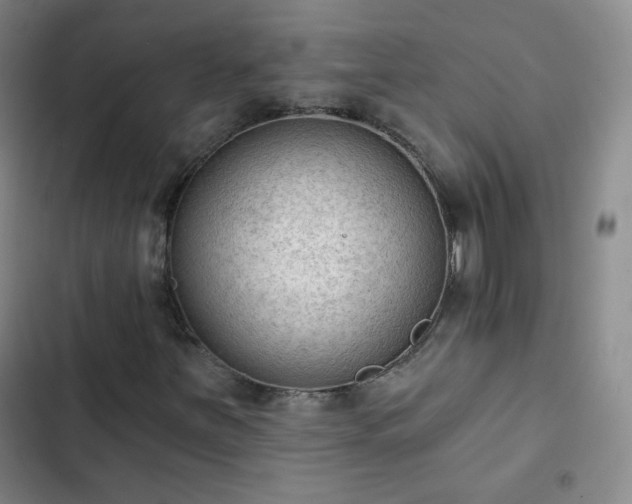 X0000102851251200808251154