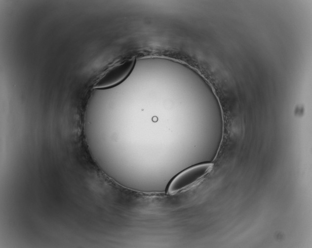 X0000102851253200808251154